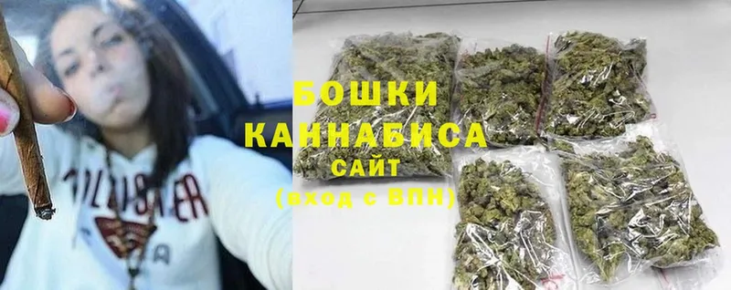 Бошки марихуана Bruce Banner  наркотики  Зеленоградск 